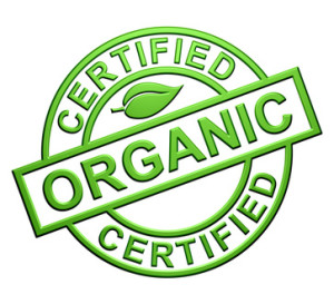 GTA’s Top 10 Organic Grocery Stores